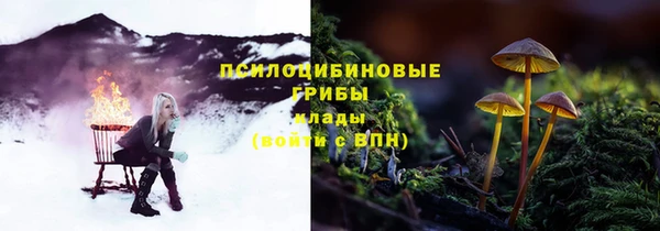 соль ск Покровск