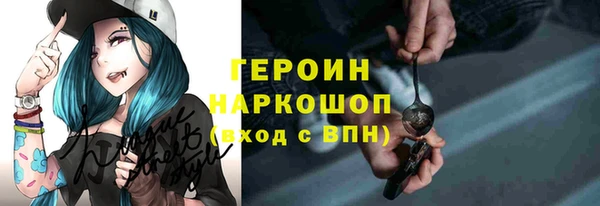гидра Покачи