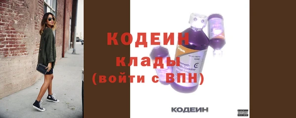 гидра Покачи