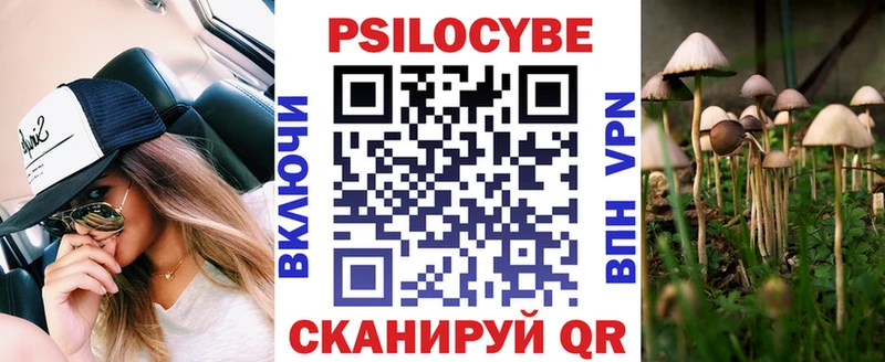 закладка  Барыш  Галлюциногенные грибы GOLDEN TEACHER 